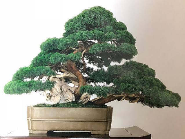 Hatsuji Kato