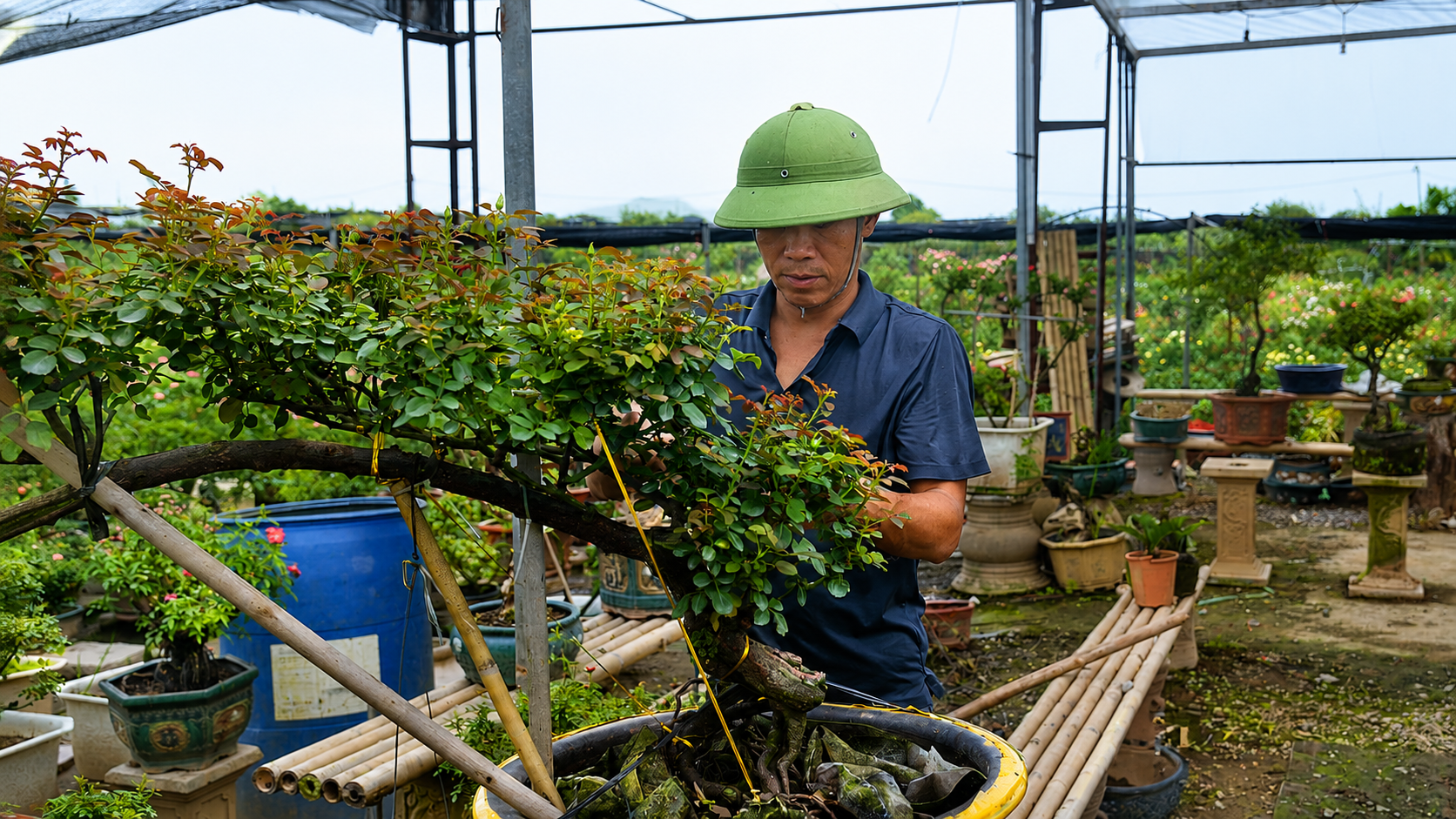 From Paddy Fields to the Digital Marketplace: What Vietnamese Bonsai Farmers Can Teach Us About Selling the Craft