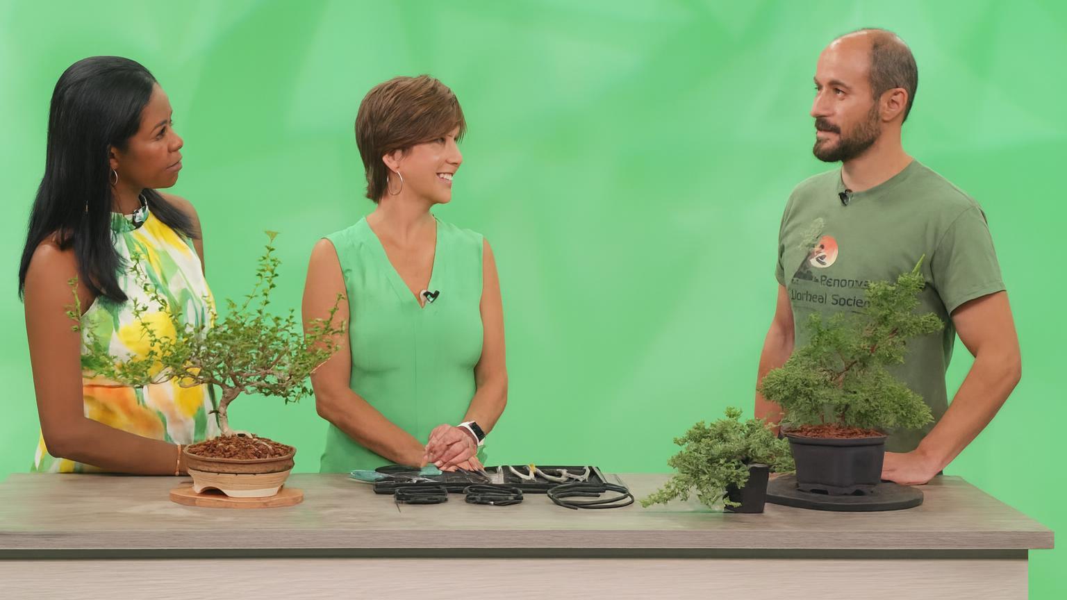 Why Local Bonsai Societies Are the Most Underrated Resource in the Hobby