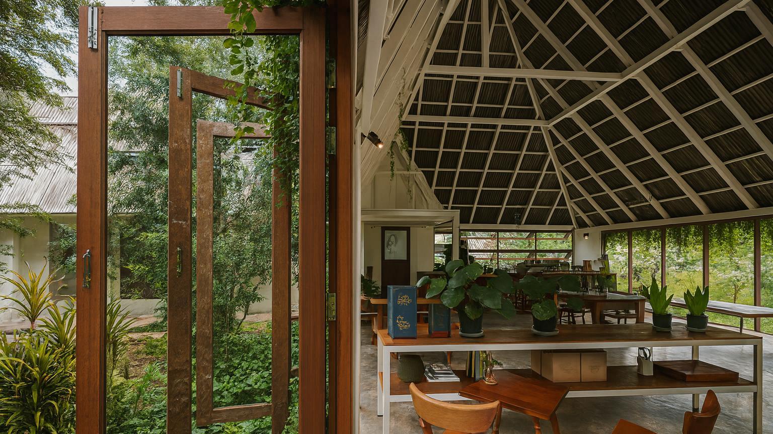 When Architecture Listens to Bonsai: What Designers Get Right That Growers Often Miss