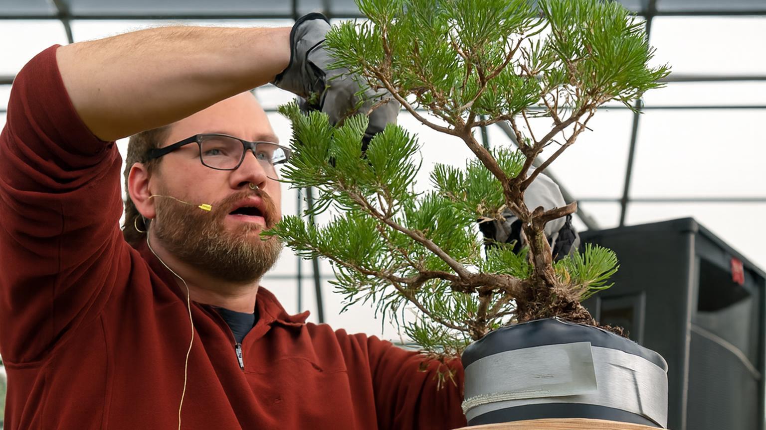 The Club Membership Most Bonsai Guides Tell You to Skip — And Why That’s a Mistake